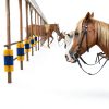 Livestock Scratch Brush Kit KUNBEIEN Horse Brush 304 Yellow/Green-5