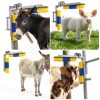 Livestock Scratch Brush Spring Holder - Sayunie Brush for Cattle-5