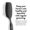 Wahl Equine Grooming Brush - Mane Tail Black Model 858709-4