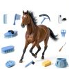 Horse Grooming Kit TERPUP 13-Piece Brush Set with Organizer Bag-1
